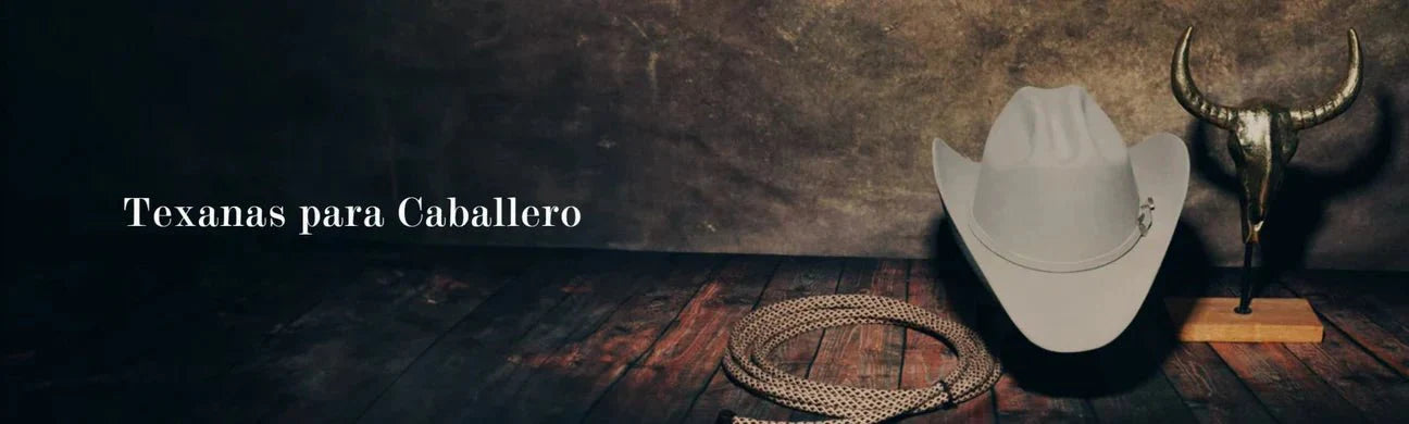Men's Cowboy Hats Texana - BELLEZA'S